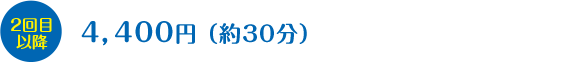 2回目以降：4,400円（約30分）